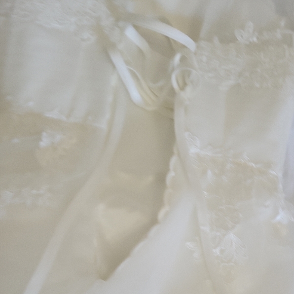 Elegant Lace A-Line Wedding Dress - Picture 4 of 6